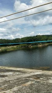 海南陵水清水湾周边70亩芒果园 转让