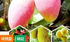 私人庄园转卖1500万元（非诚勿扰）