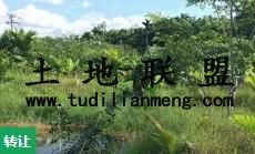 (转让) 兴隆周边 土地 6000多平米