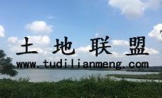 海南省海口市琼山区林木苗圃地10亩转让