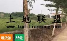 转让秀英永兴镇土地使用权共享农庄