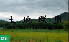 (转让)吉阳区 荔枝沟 美丽乡村红花村土地 土地 600平米