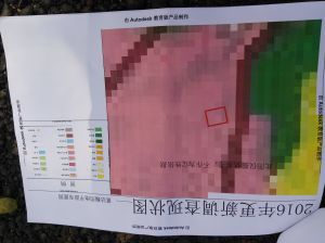 海南省陵水黎族自治县文罗镇运沟村路口900平米土地转让
