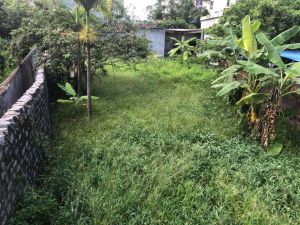 陵水县市场附近 310平方 宅基地转让