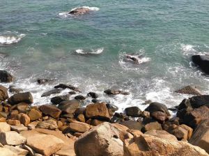 海南省陵水黎族自治县农房310平方转让