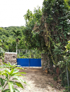 海南省三亚市吉阳区荔枝沟半岭水库边 农家小院+20亩芒果园转让