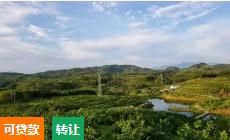 琼中220亩园地转让