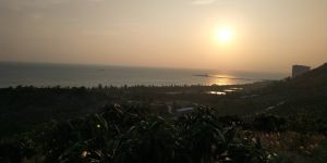 海南省三亚市300亩果园转让