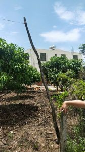 海南省三亚市南田农场113平方转让 可做铺面