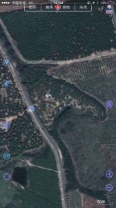 海南省陵水黎族自治县42亩林木苗圃地出租