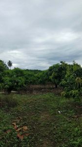 海南省万宁1亩宅基地 转让