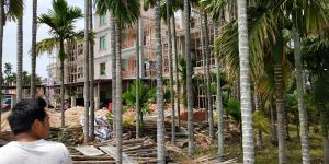 海南省三亚市2.5亩农房转让