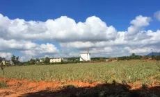 海南省海口市万宁市乐来镇83.4亩工业用地转让