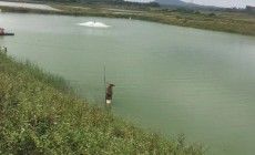 海南省海口市琼山区水产养殖地250亩合作入股