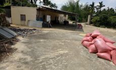 海南省三亚市市辖区水果茶桑地82亩转让