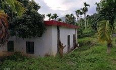 海南省保亭县水果地26亩转让