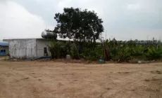 海南省海口市澄迈县中兴镇1029亩农地出租