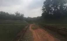 海南省澄迈县金马大道旁65亩农业用地转让