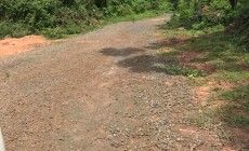 海南万宁100亩黑土地 出租