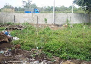 海南省海口市琼山区600平方米场地出租