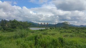 海南儋州市3000亩农用地出租