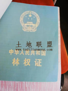 儋州兰洋170亩林地转让