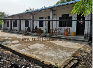 琼海市200亩林地出租