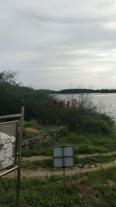 陵水县13亩槟榔园转让