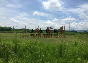 儋州72亩鱼塘出租