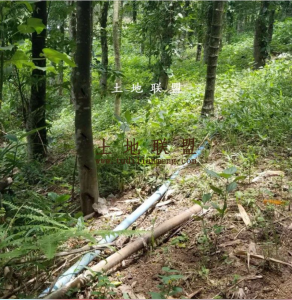 海南三亚陵水吊罗山60亩林地转让