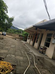 海南陵水本号镇350亩槟榔园转让