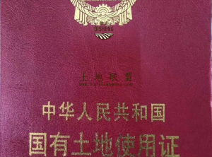 万城镇市中心国有土地1亩宅基地转让