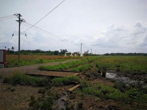 澄迈永发镇2100平宅基地转让