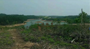 澄迈1500亩农场用地 转让