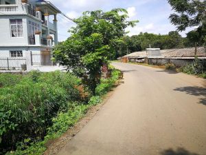 海口市龙华区1800平方米农村宅基地转让