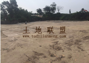 海南省海口市龙华区3600平方米土地出租