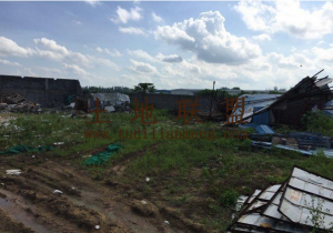 海口市秀英区绿色长廊13亩空地出租