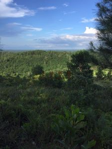 海南屯昌县新兴镇430亩空地 转让