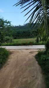 万宁市和乐镇80亩工业用地 转让