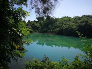 海南省海口市30亩林木苗圃地转让