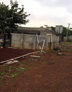 海南省海口市200亩耕地转让