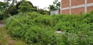 海南海口大致坡镇上国有土地244平方 转让