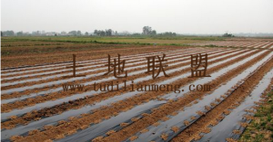 海南省三亚市陵水光坡附近50亩土地出租