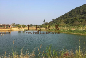 海口观澜湖100亩林地 转让