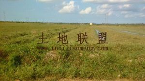 海口市美兰区国营三江农场80亩四荒地出租