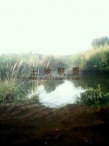 海南省临高县博厚镇25亩园地转让