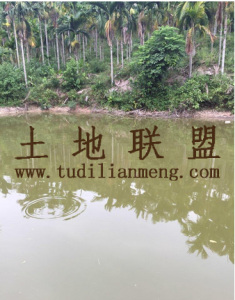 屯昌市1000亩农场转让