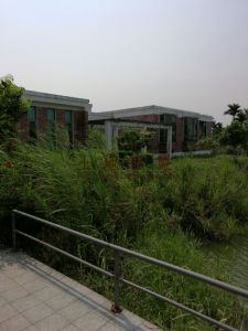 定安68亩园地转让