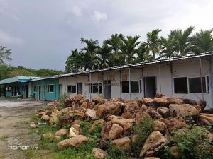 海南省保亭县果地6亩出租