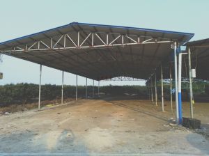 定安960亩荔枝园转让